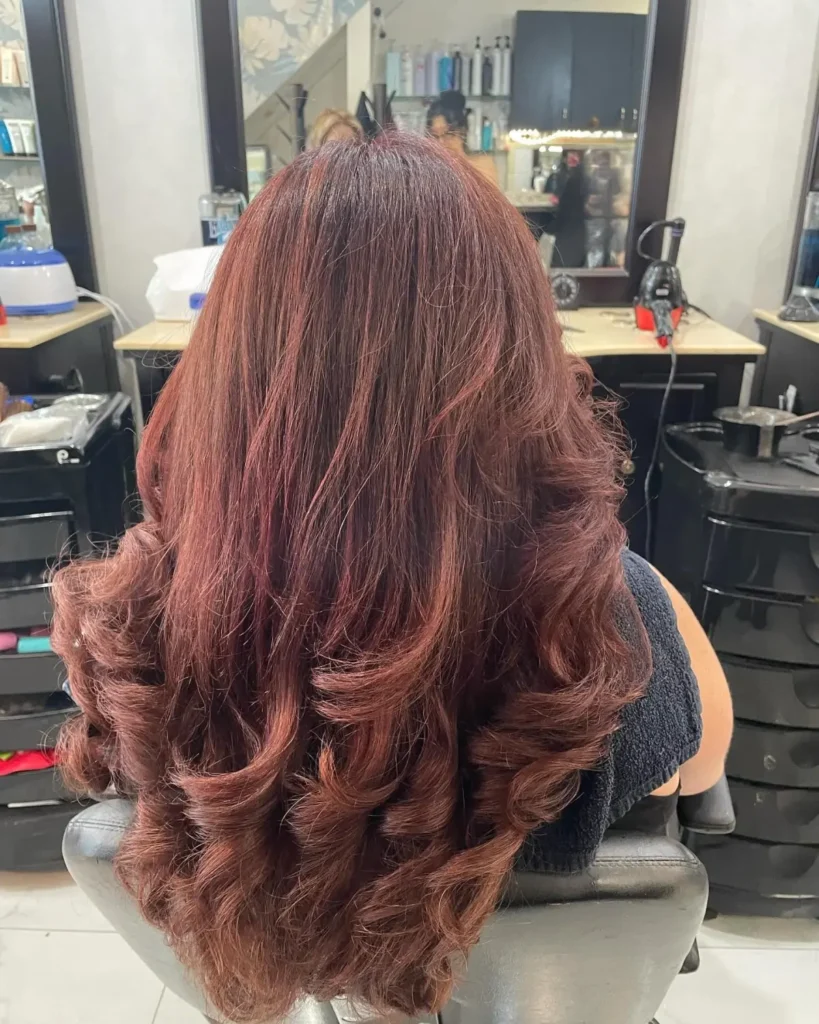 Deep burgundy hair color reflecting subtle red and violet undertones in the light back view