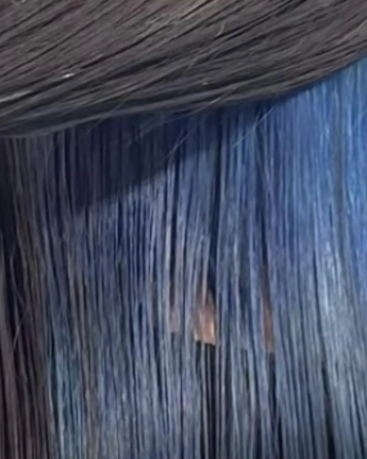 Vivid pastel pink and lavender hair color blended seamlessly into a dark root