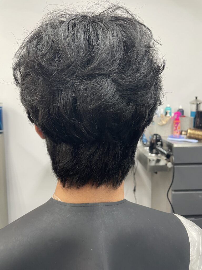 Men's wolf cut mullet hairstyle seen from the back, showing textured layers and volume at the crown